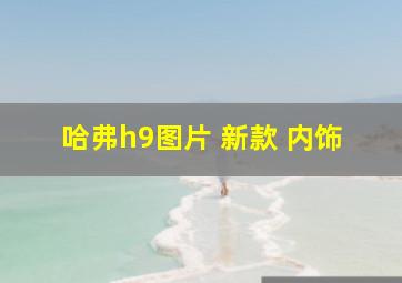 哈弗h9图片 新款 内饰